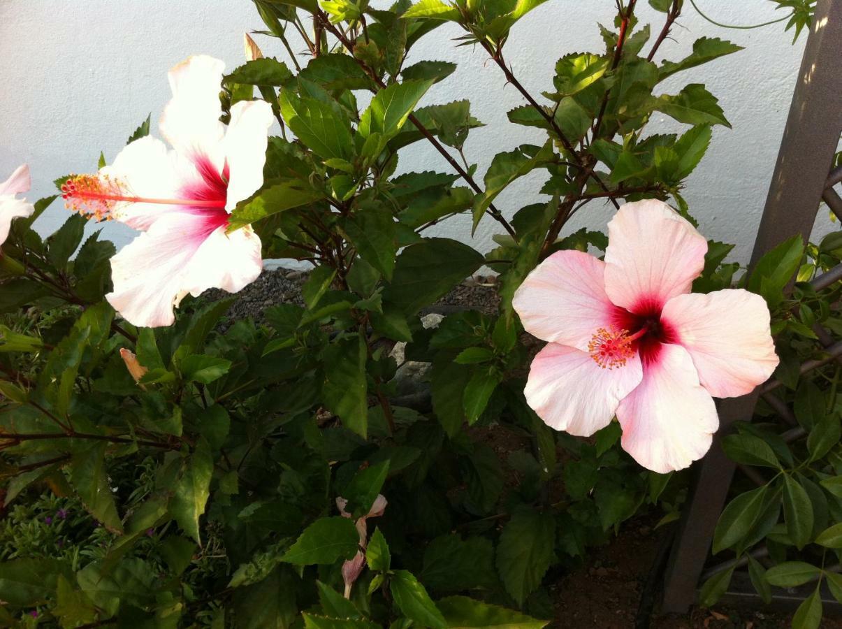 Bungalow La Datura เอลปาโซ ภายนอก รูปภาพ