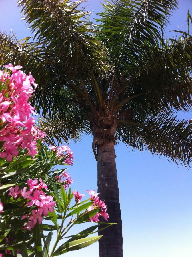 Bungalow La Datura เอลปาโซ ภายนอก รูปภาพ